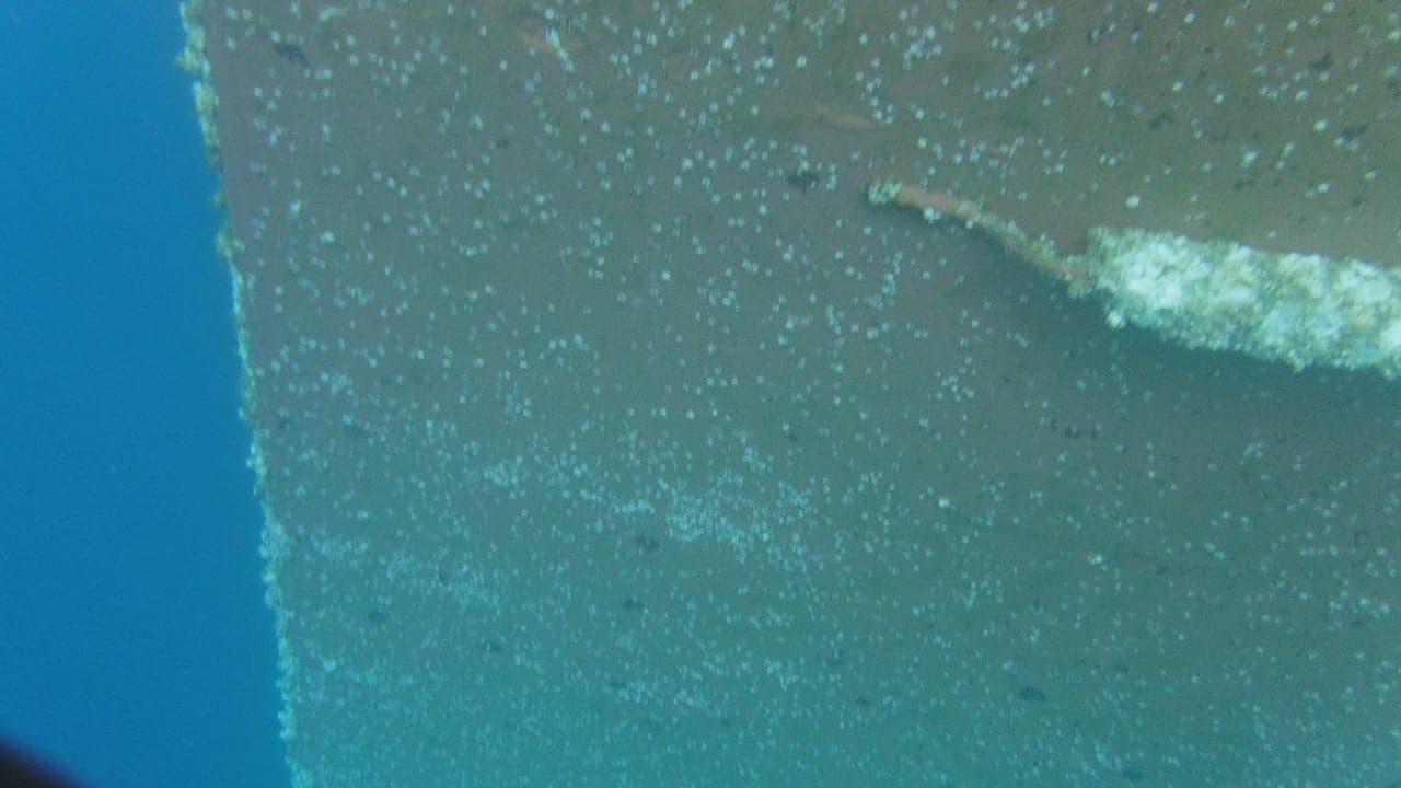Underwater view of a flat hull panel with a growth-covered cylindrical fixture and cable