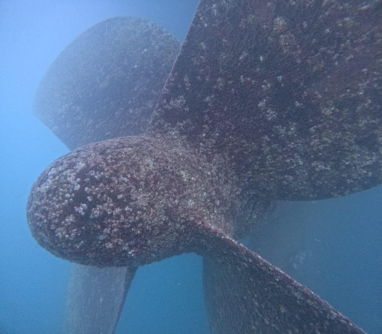 Underwater view of a fouled propeller with marine growth covering the central hub and blades