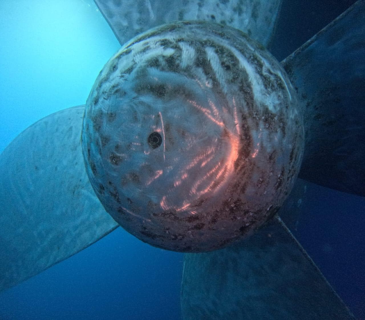 Commercial diver inspecting a fouled ship propeller and hub underwater
